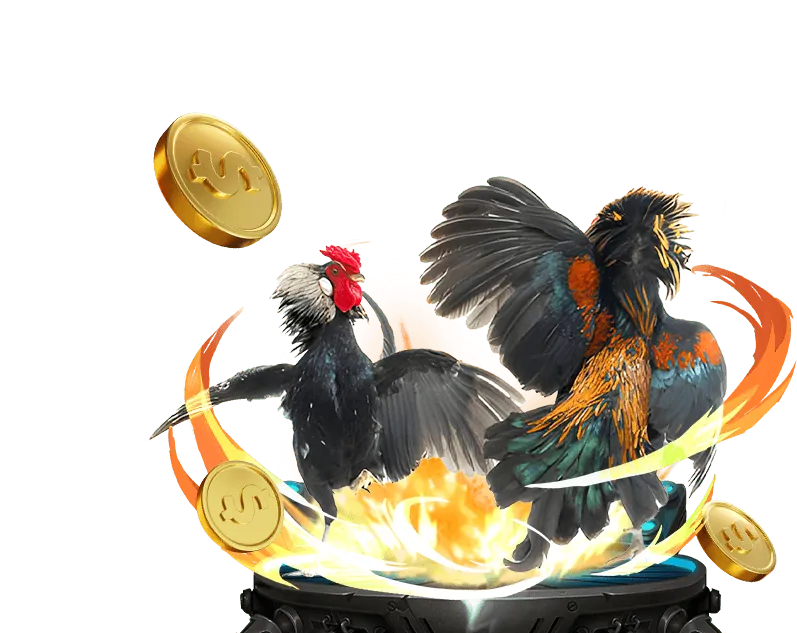 Các trò chơi game bài truyền thống và hiện đại tại gacam67a
